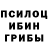 Псилоцибиновые грибы Psilocybe Ghopit