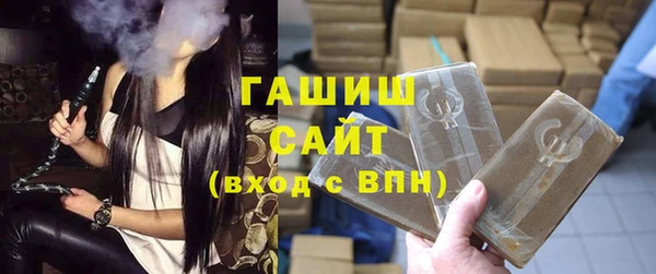 гашик Тихвин