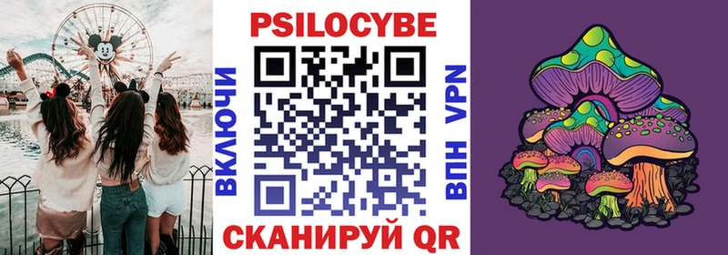 как найти   blacksprut ONION  Псилоцибиновые грибы Psilocybe  Олёкминск 